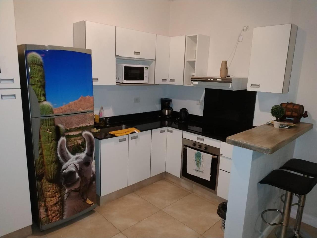 萨尔塔Apartamento Leguizamon公寓 外观 照片
